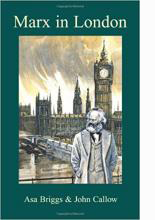 
cover of Manchester Making The Modern City